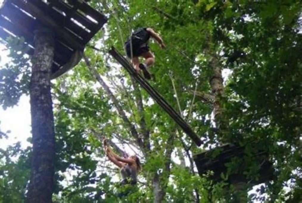 Les Cerisiers Sud-gironde Dans Le Sauternais Meuble De Tourisme 3 Etoiles